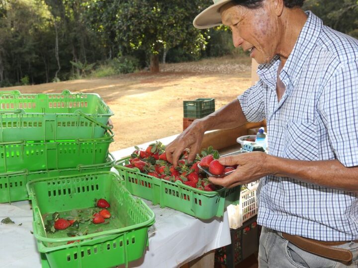 Finep vai pagar R$ 220 milhões para inovações em agricultura familiar 