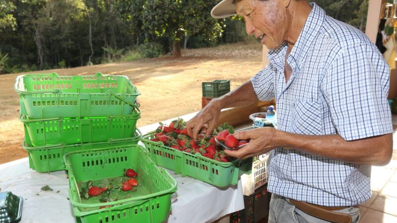 Finep vai pagar R$ 220 milhões para inovações em agricultura familiar 