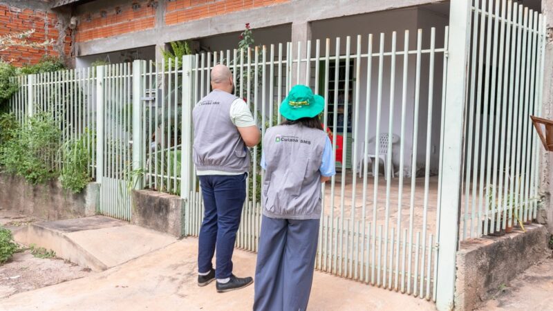 Levantamento aponta redução na média semanal de casos de dengue e chikungunya