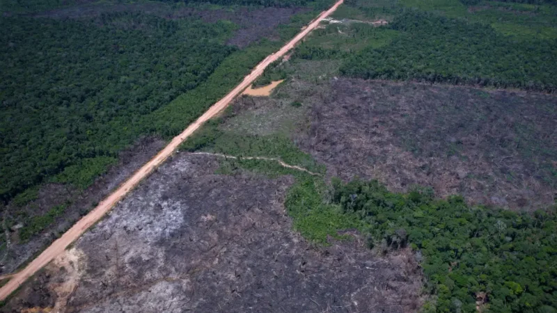 Eco Invest Brasil promove quinto leilão para financiar inovação