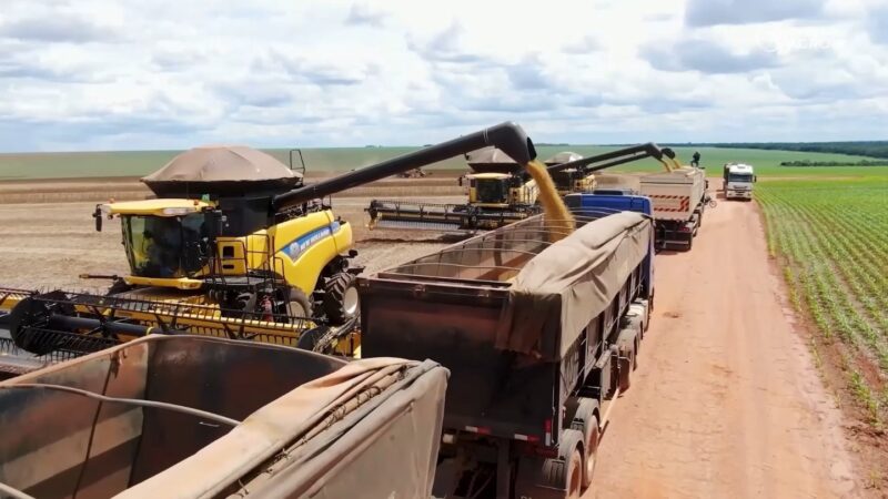 Crédito em risco beira 20% em MT e acende alerta para a próxima safra
