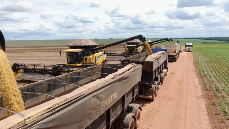 Crédito problemático em Mato Grosso se aproxima de 20% e pressiona sustentabilidade financeira no campo