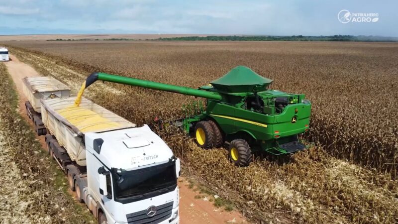 Quase metade da área de milho foi colhida em Mato Grosso
