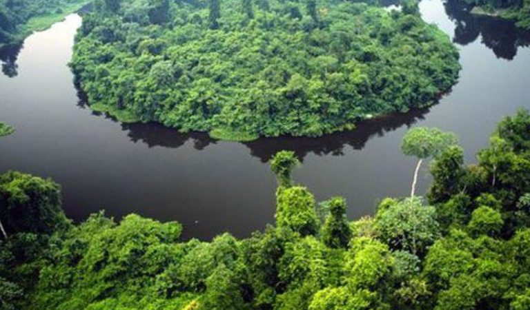 MPF tenta anular acordo que transfere terras públicas de parque a particulares em MT