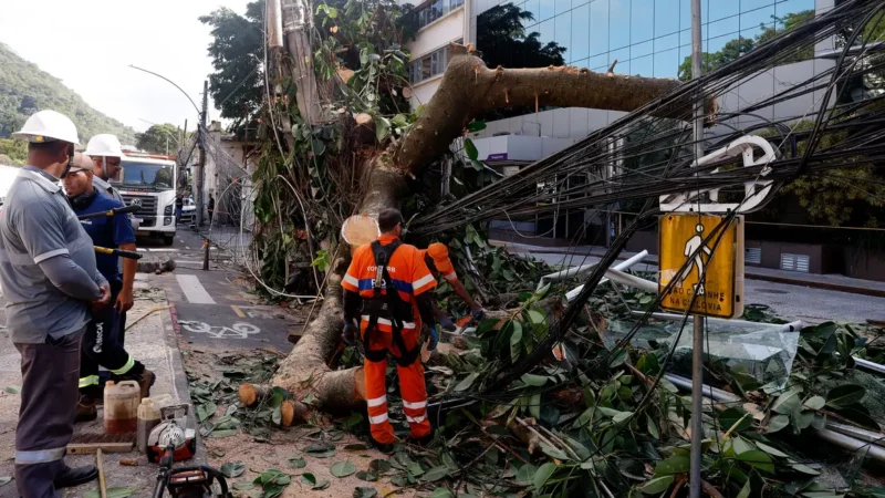 Rede elétrica mais resiliente requer investimento de concessionárias