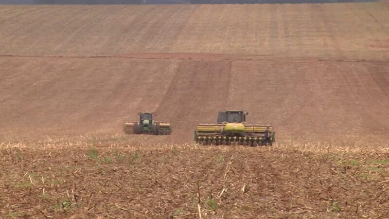 Endividamento e falta de crédito ameaçam nova safra de soja em Mato Grosso