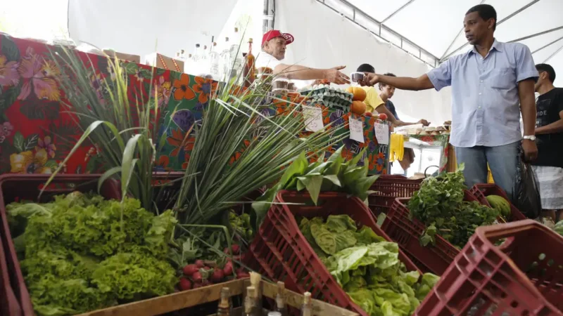 Decreto adia exigência de CNPJ para autônomos e produtores rurais
