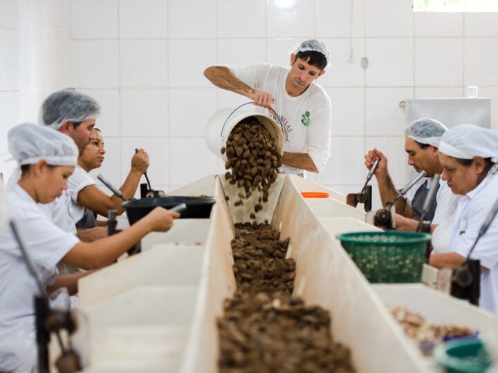 Consulta sobre bens sustentáveis no acordo Mercosul–UE acaba na quarta