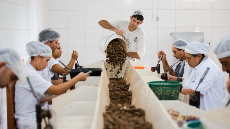 Consulta sobre bens sustentáveis no acordo Mercosul–UE acaba na quarta