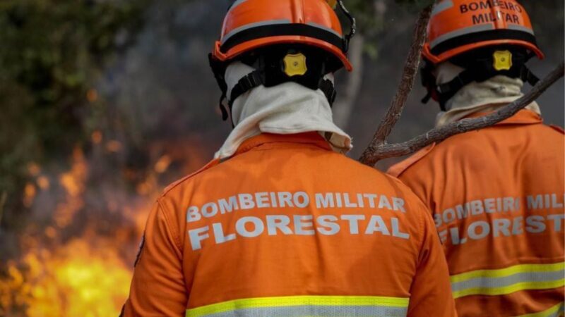 Mato Grosso lidera focos de calor no país e já soma 1.094 registros em agosto