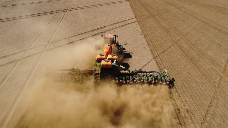 Soja mantém margem sobre custos em Mato Grosso, enquanto milho opera abaixo do COT