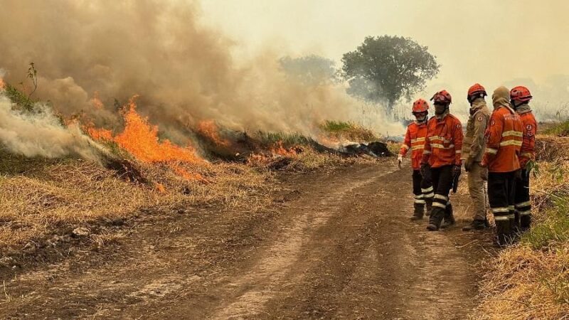 Corpo de Bombeiros combate 12 incêndios florestais em vários municípios de MT