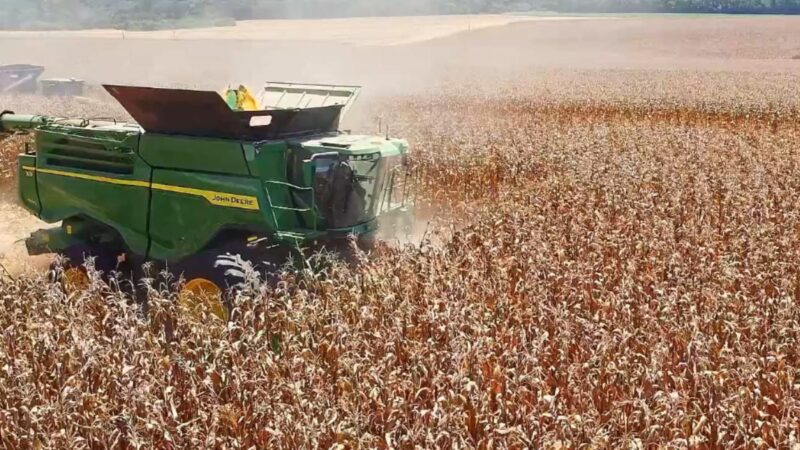 Fórum Mais Milho discute pilares para fortalecer produção de milho