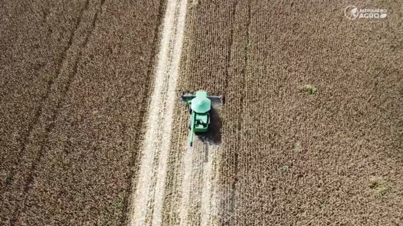 Falta de mão de obra desafia o agro de Mato Grosso