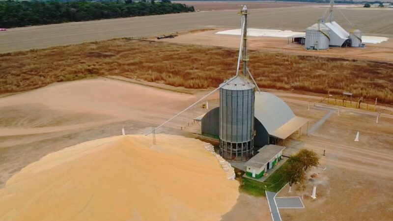 Chuva prolonga colheita, encarece produção e expõe gargalos da armazenagem em MT