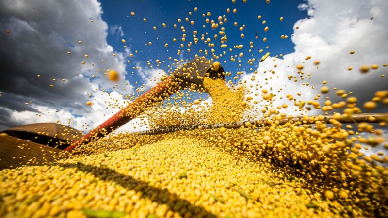 Produção agrícola brasileira superou R$ 927 bilhões em 2025