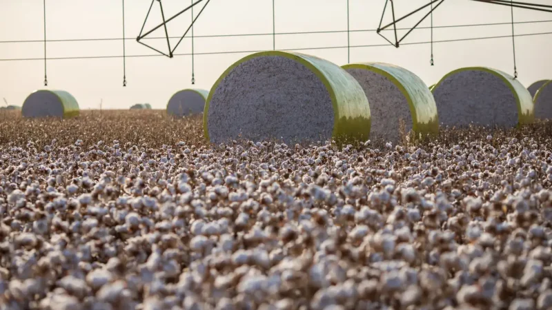 Entenda mudança no mapa que tirou Sorriso do topo da produção agrícola