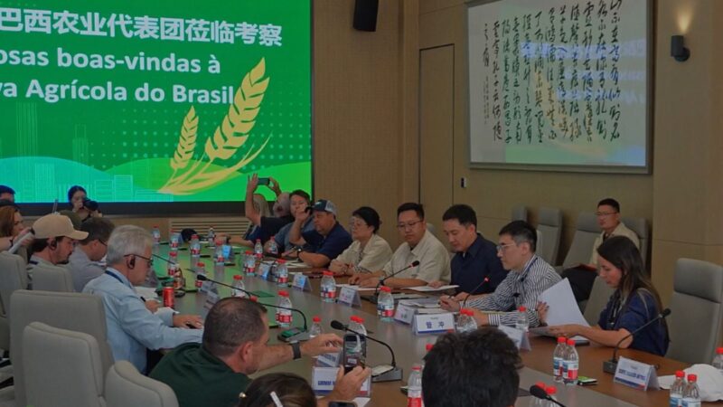 Da porteira para fora, a China dá show: o que o agro brasileiro aprende com os chineses