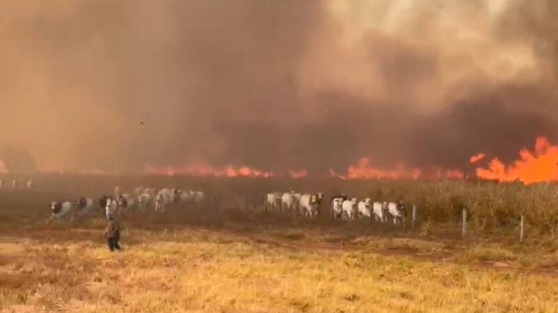 Focos de calor disparam em Mato Grosso e acendem alerta no campo