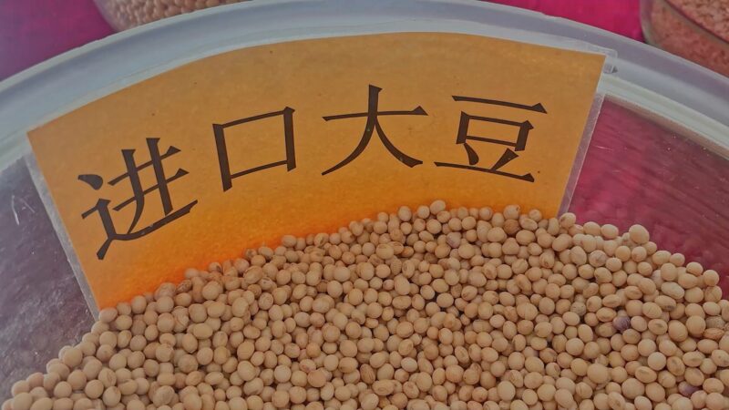 Com pouca terra, China aposta em genética para produzir mais e desafia o agro brasileiro