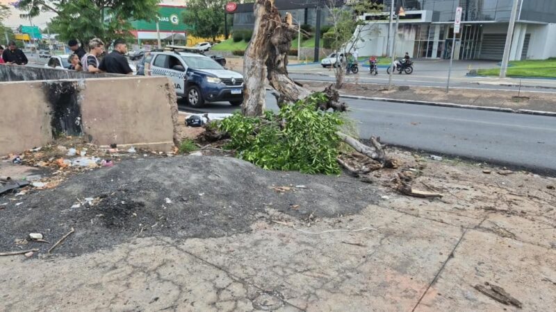Jovem morre ao bater moto em árvore após sair do trabalho em Cuiabá