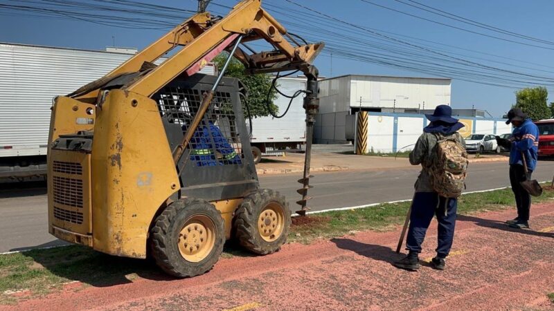 Prefeitura realiza ação de plantio de cerca de 300 árvores em avenida de Cuiabá