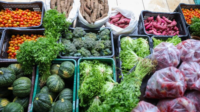Segurança alimentar exige esforço coletivo e articulação