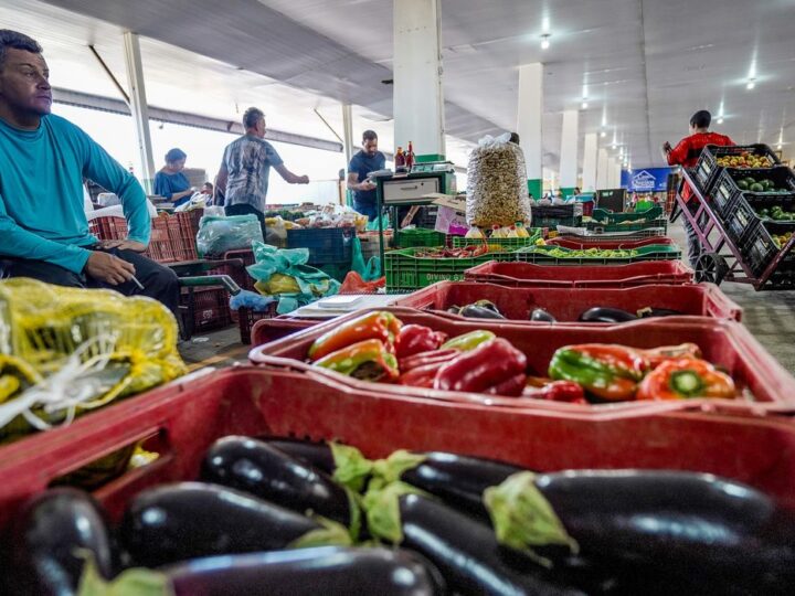 Campanha busca engajamento para reduzir desperdício de alimento