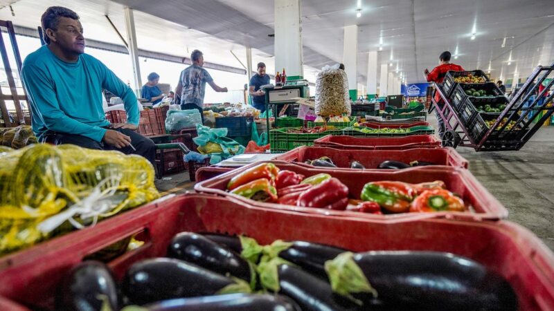 Campanha busca engajamento para reduzir desperdício de alimento