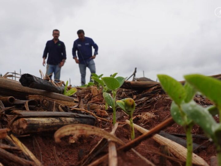 CBS para produtor rural poderá ter alíquota de 4,52% com redução prevista na Reforma Tributária