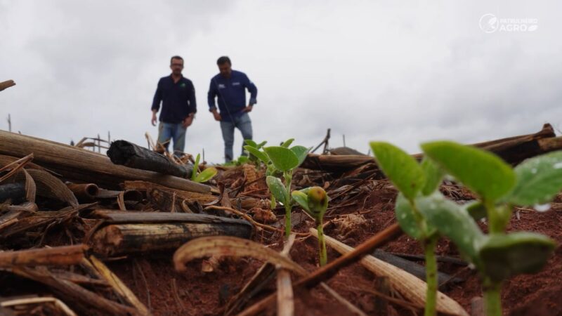 CBS para produtor rural poderá ter alíquota de 4,52% com redução prevista na Reforma Tributária